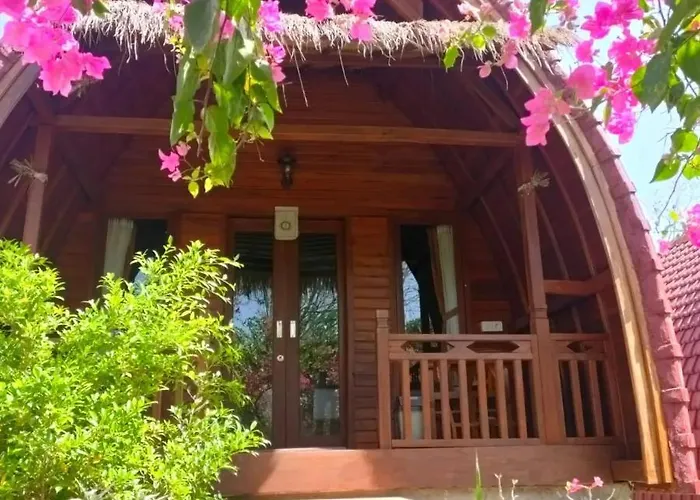 Bougainvillea ホリデーパーク Batumadeg