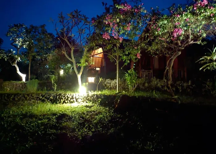 Bougainvillea 2*