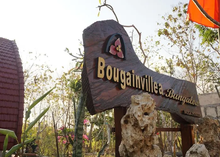 Bougainvillea ホリデーパーク